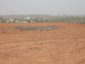 POUT-a-la-une-300×225-1